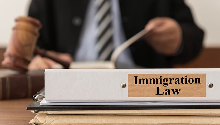 immigration law